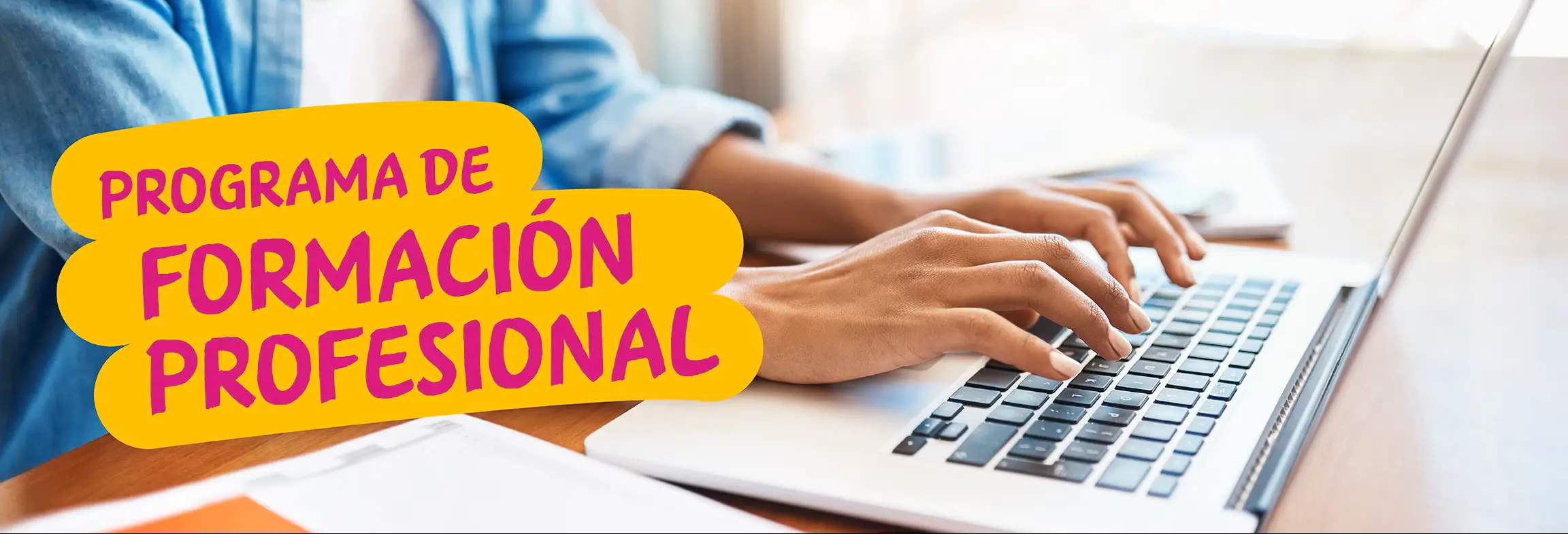 Programa de formación profesional Programa de formación profesional